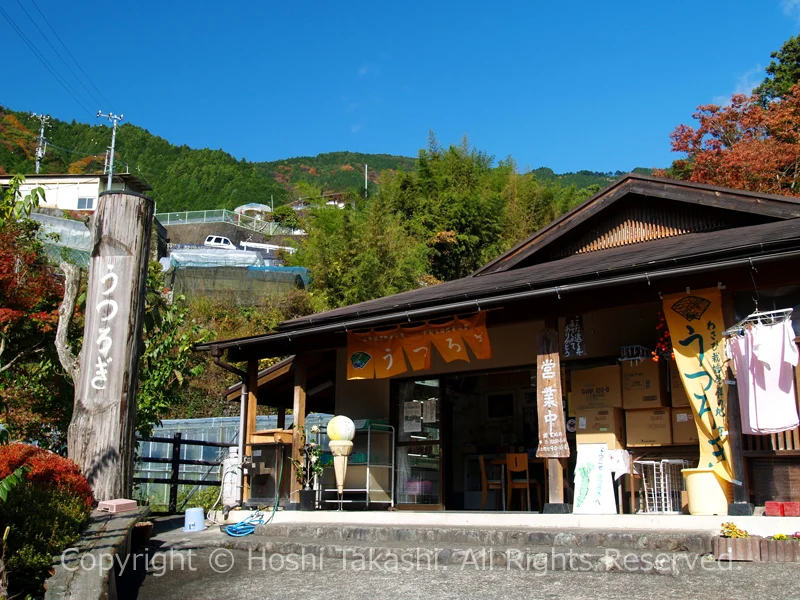 有東木のうつろぎ