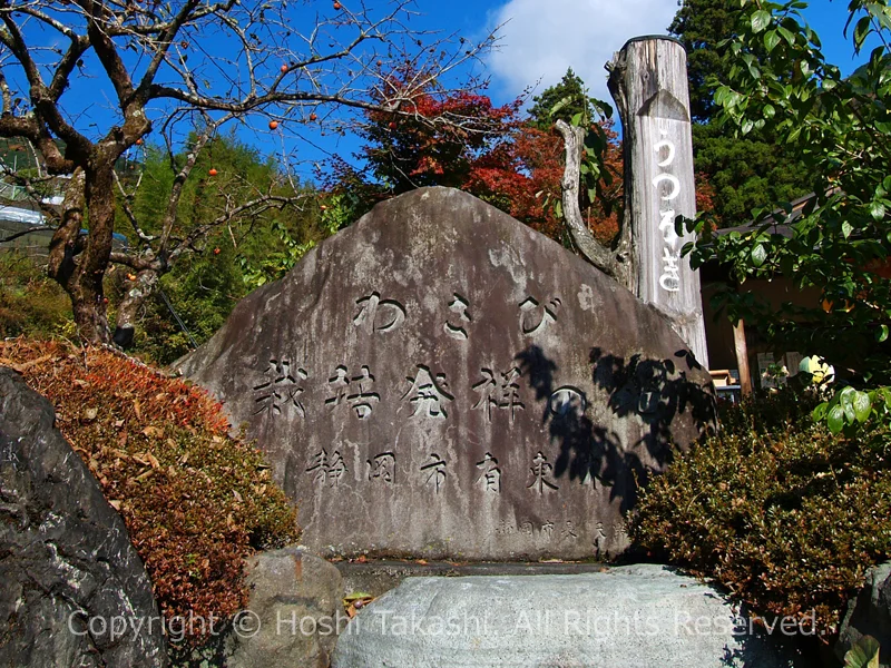 『わさび栽培発祥の地』記念碑