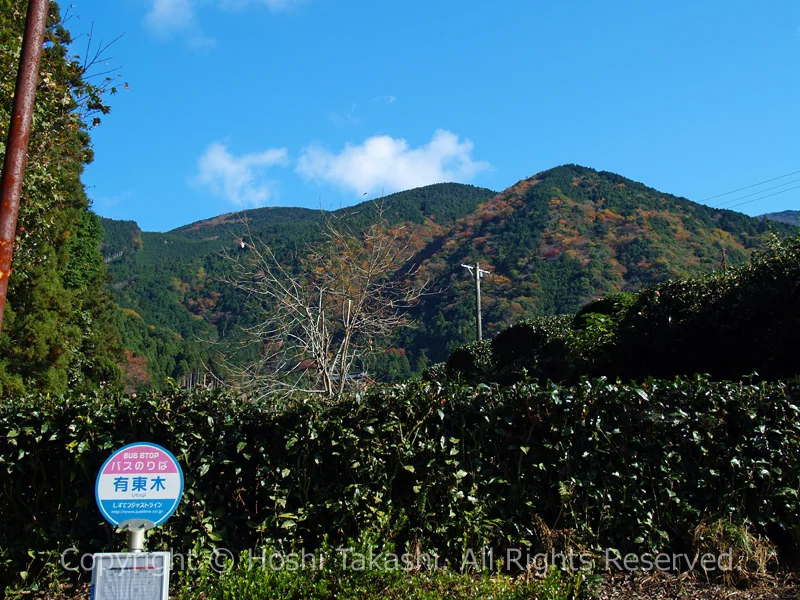 静鉄バス 有東木バス停