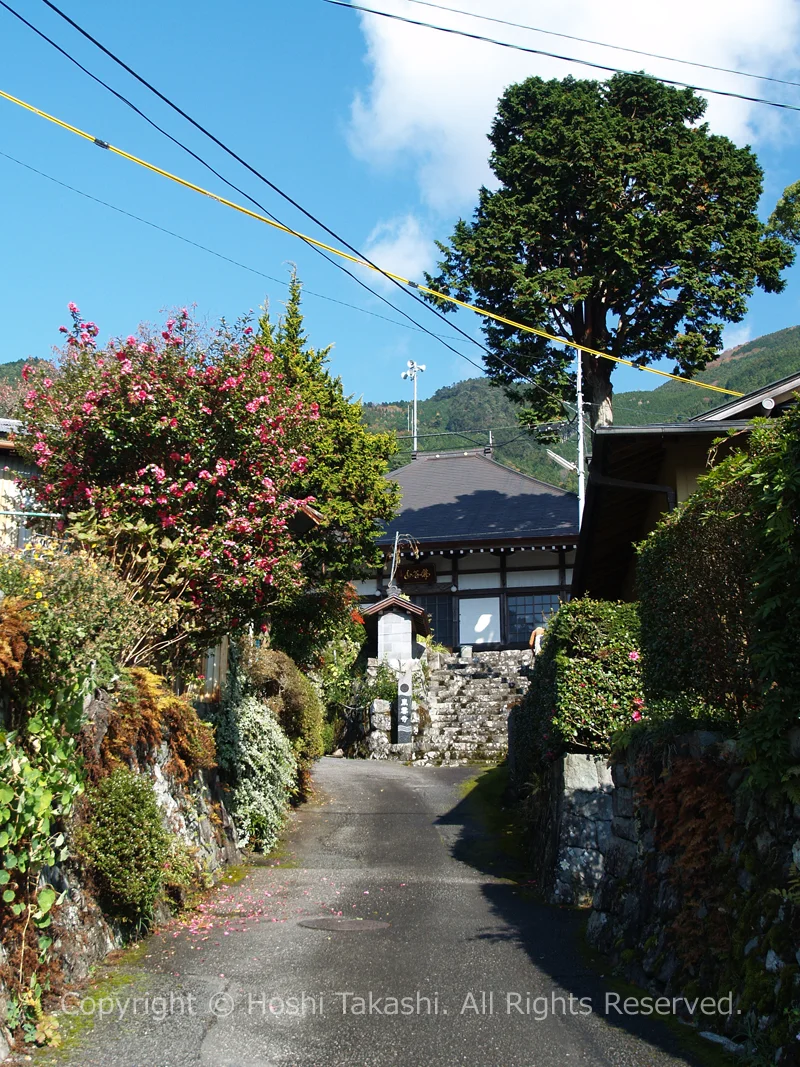 有東木の東雲寺へと向かう道