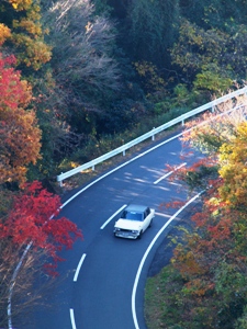 日本平パークウェイ