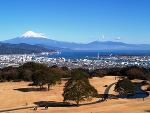 日本平ホテル庭園