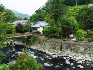 湯ヶ野温泉の眺め