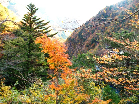 千頭の山々の眺め