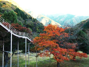 寸又峡の景色