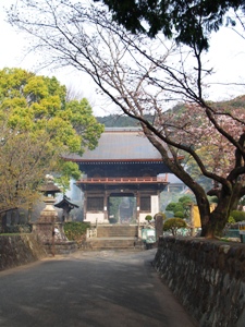 実相寺の参道