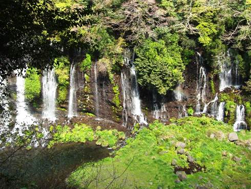 壁面から流れ落ちる白糸の滝