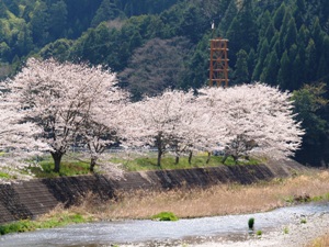 朝比奈大龍勢の発射台