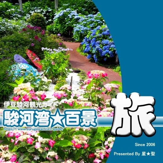 2025年6月版 伊豆・駿河観光ガイド