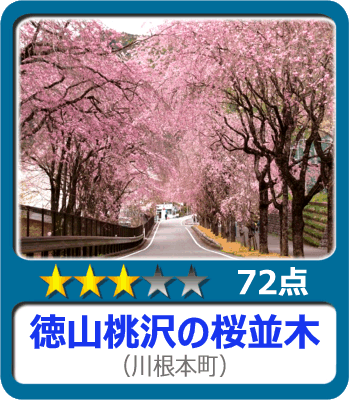 徳山桃沢の桜並木