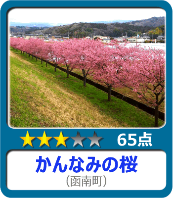 かんなみの桜