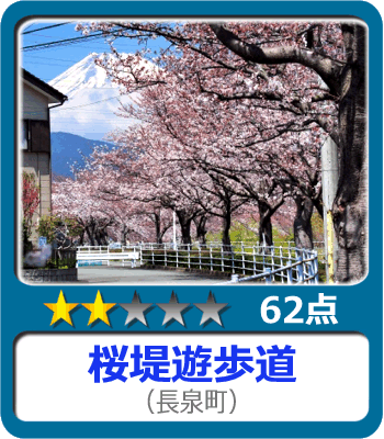 桜堤遊歩道