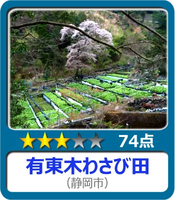 有東木わさび田