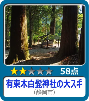 有東木白髭神社の大スギ