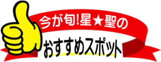 今が旬!星★聖のおすすめ観光スポット