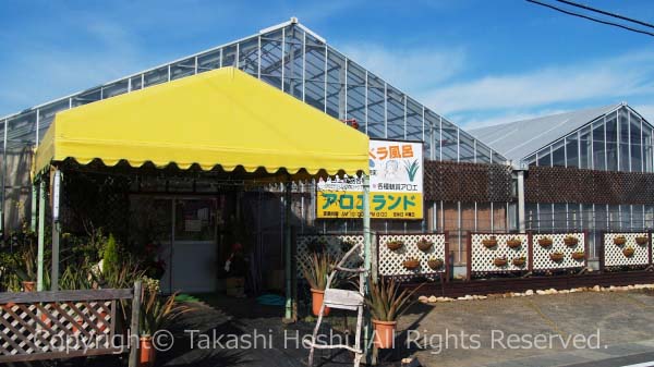 アロエランド 牧之原市観光ガイド『駿河湾★百景』