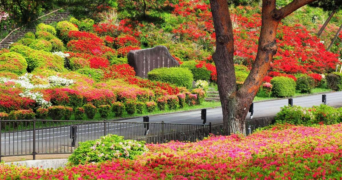 小室山公園 --- 伊東市観光ガイド『駿河湾☆百景』