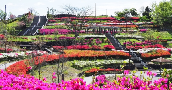 藤枝総合運動公園 --- 藤枝市観光ガイド『駿河湾★百景』