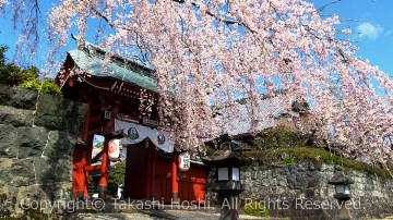 大石寺