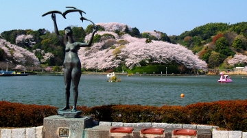 蓮華寺池公園