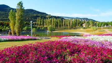 国営明石海峡公園