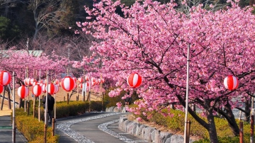 あらさわふる里公園