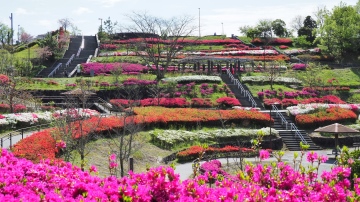 藤枝総合運動公園