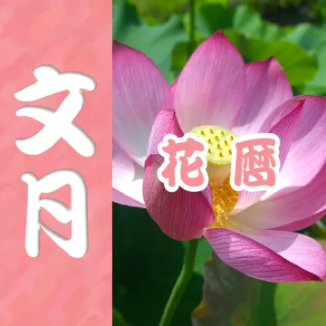 静岡の7月の花暦