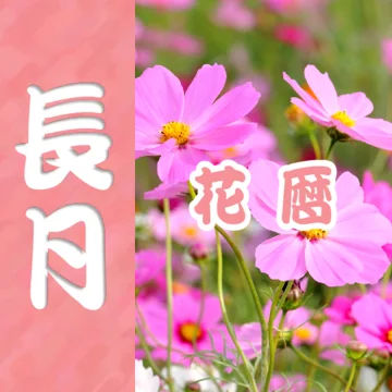 静岡の8月の花カレンダー