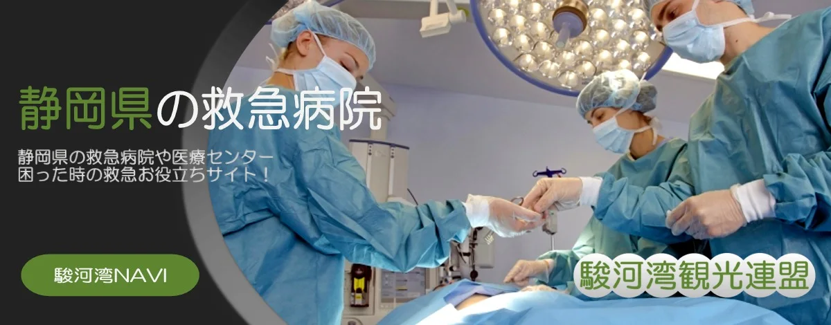 静岡県の救急医療機関