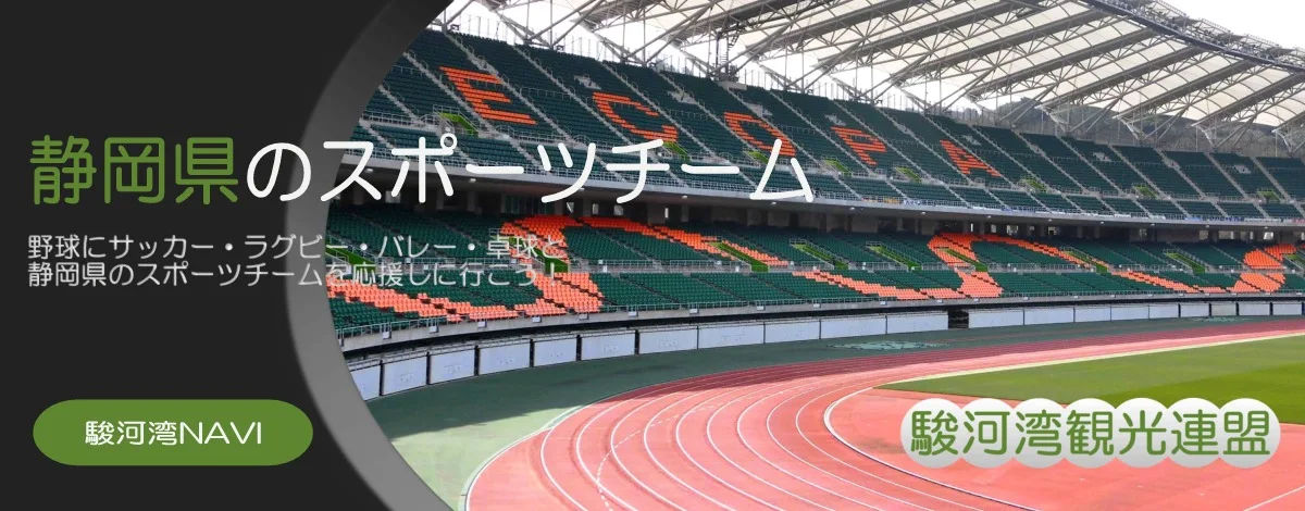 静岡県のスポーツチーム
