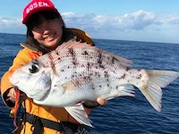 御前崎港 海釣り体験