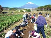 富士山ガーデンファーム