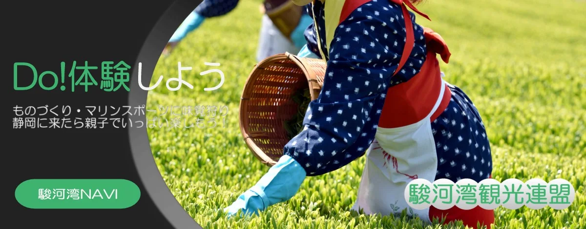 静岡の体験プログラム