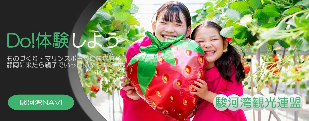 静岡の体験プログラム