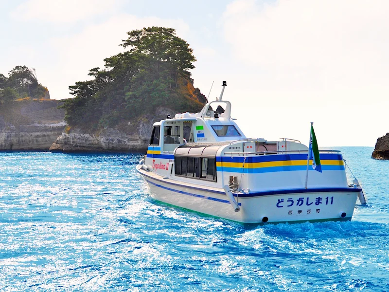 駿河湾クルーズ