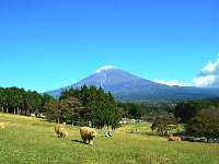 まかいの牧場