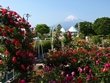 静岡・伊豆の植物園・庭園