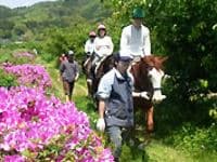 伊豆下田乗馬クラブ