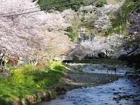 大沢温泉 依田之庄