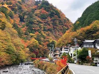 梅ヶ島温泉 湯元屋