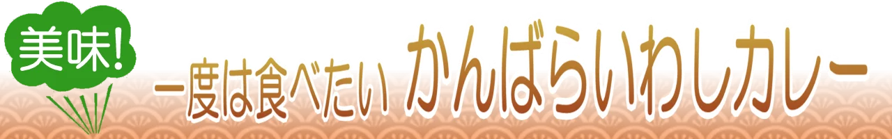 かんばらいわしカレー通販