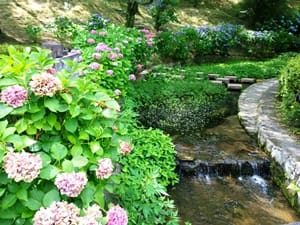 蓮華寺池公園