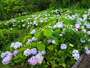 原田公園