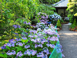 清雲寺