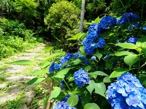 霊山寺