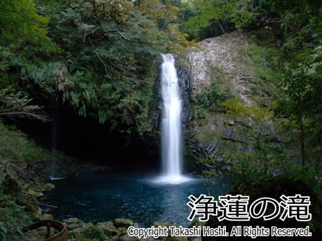 浄蓮の滝 （伊豆市 天城）