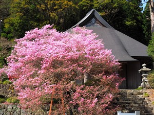 村山浅間神社