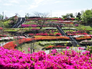 藤枝総合運動公園