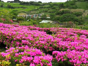 あらさわふる里公園